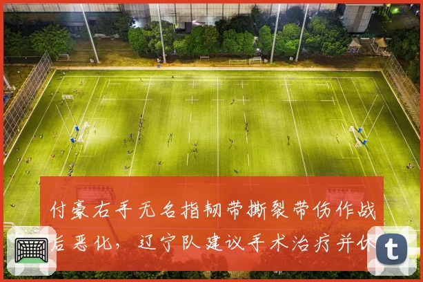 付豪右手无名指韧带撕裂带伤作战后恶化，辽宁队建议手术治疗并休战八周