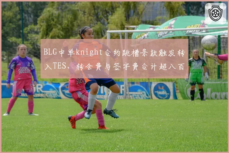 BLG中单knight合约跳槽条款触发转入TES，转会费与签字费合计超八百万